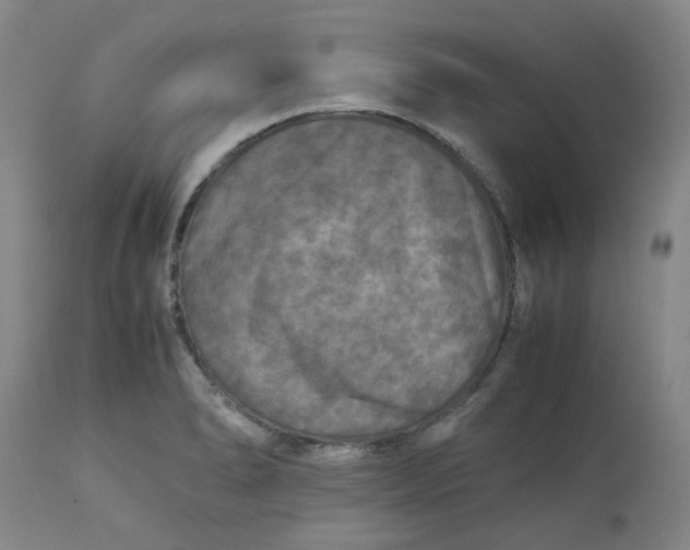 X0000113221278200910011336