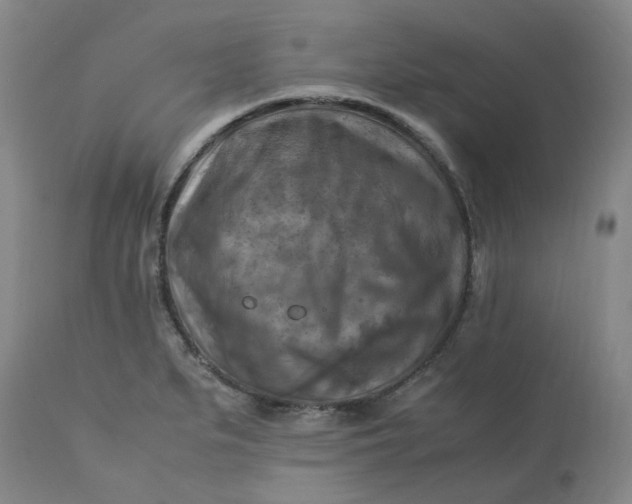 X0000113221279200910011336