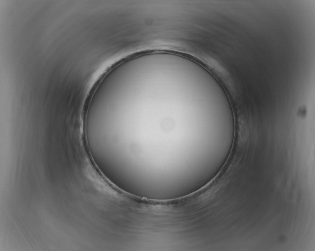 X0000113221280200910011336