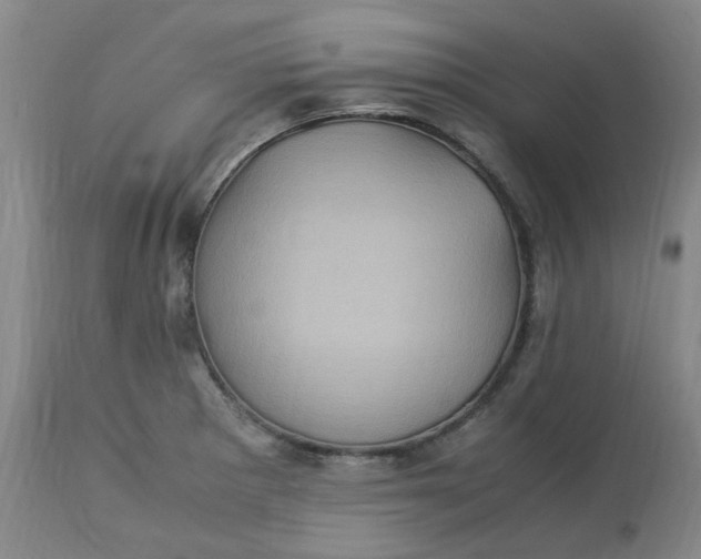 X0000113221281200910011336