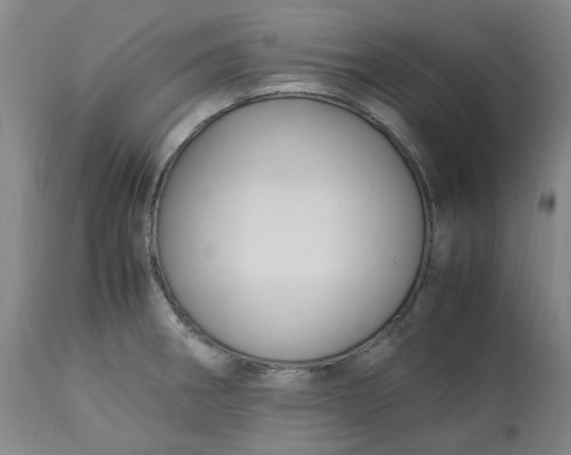 X0000113221282200910011336