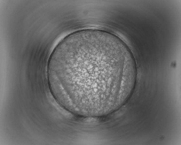 X0000113221283200910011336