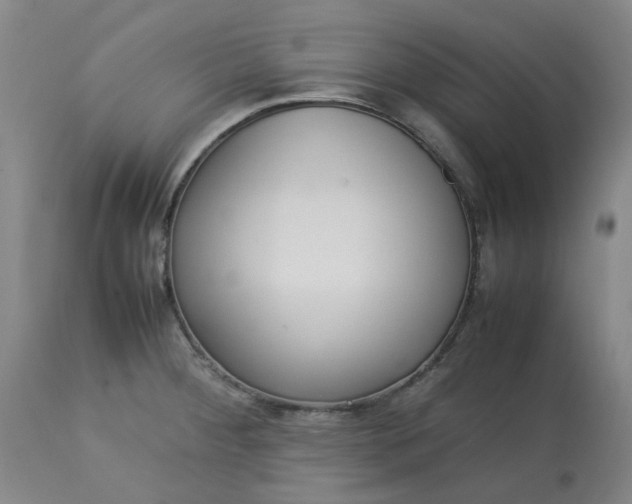 X0000113221284200910011336