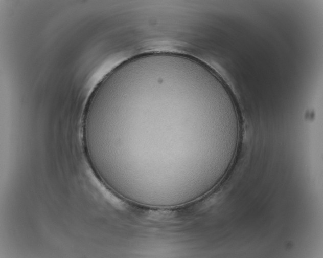 X0000113221285200910011336