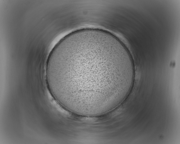 X0000113221287200910011335