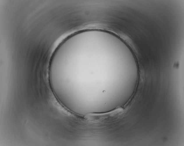 X0000113221288200910011335