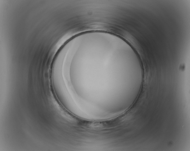 X0000113221291200910011335