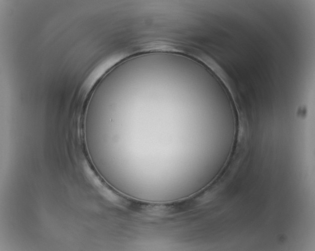 X0000113221293200910011335