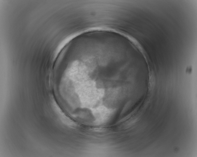 X0000113221295200910011335