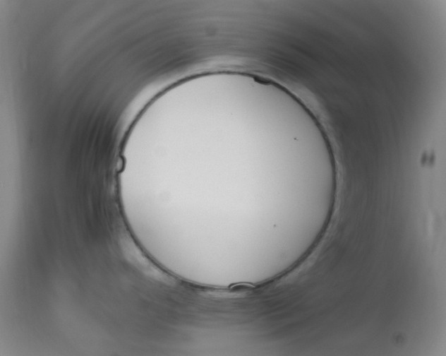 X0000113221296200910011335