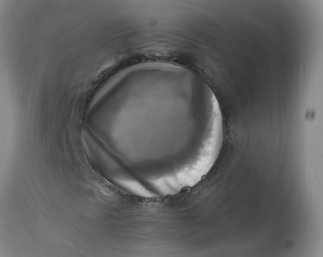 X0000113221297200910011335