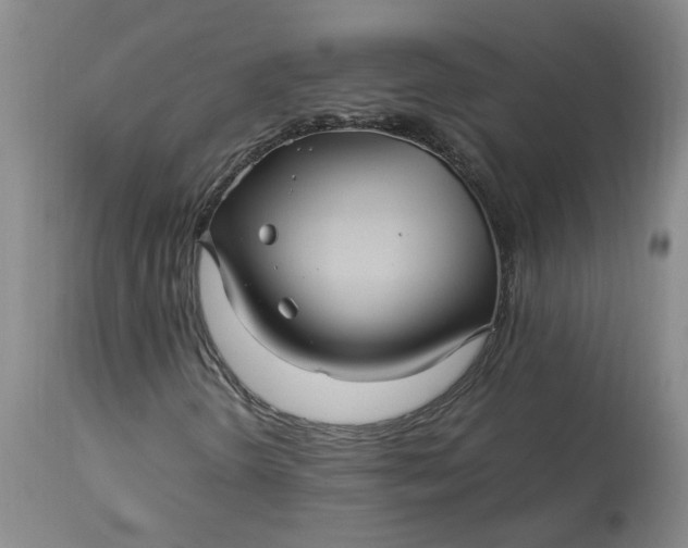 X0000113221298200910011335