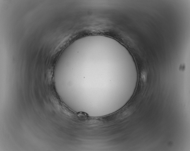 X0000113221300200910011335