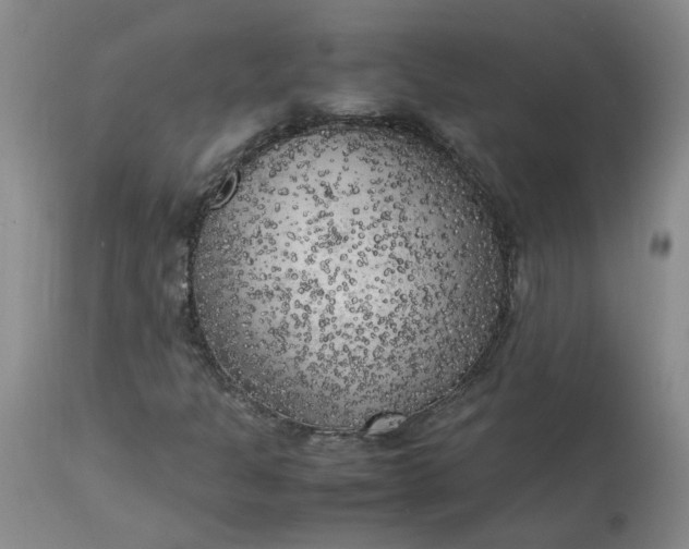 X0000113221301200910011335