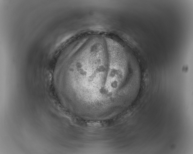 X0000113221302200910011335