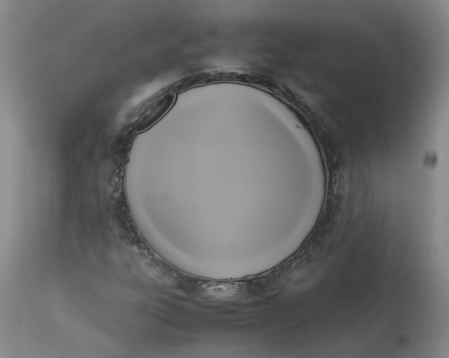 X0000113221303200910011335