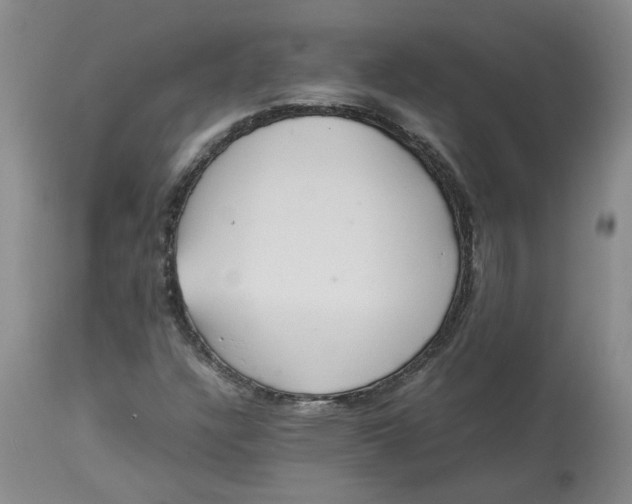 X0000113221304200910011335