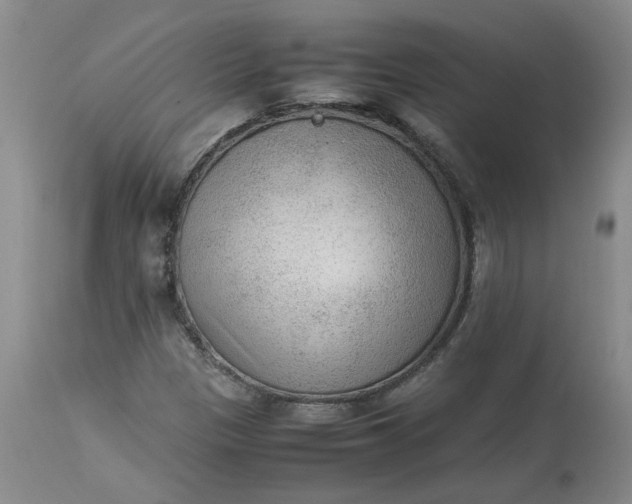 X0000113221305200910011335