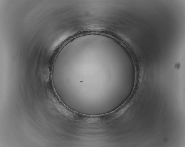 X0000113221306200910011335