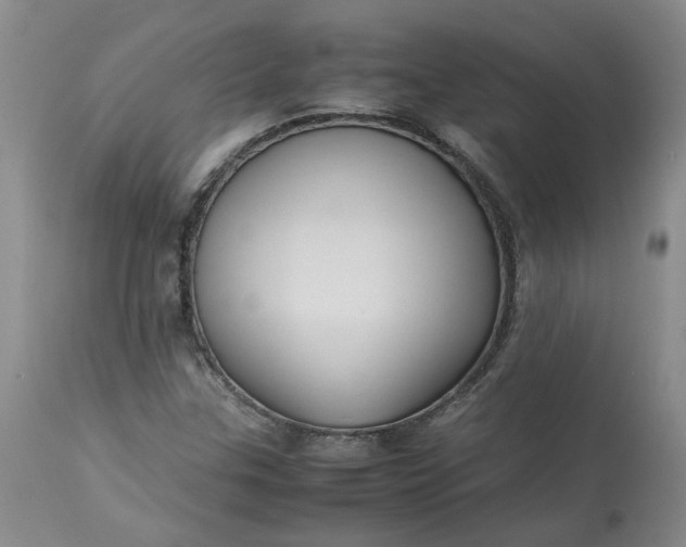 X0000113221307200910011335