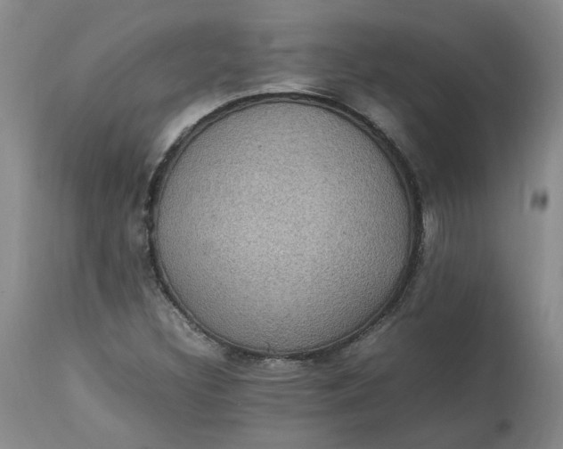 X0000113221308200910011335