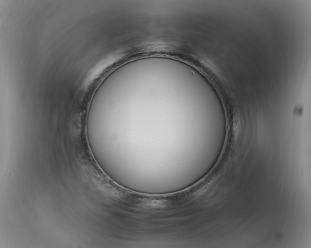 X0000113221309200910011335