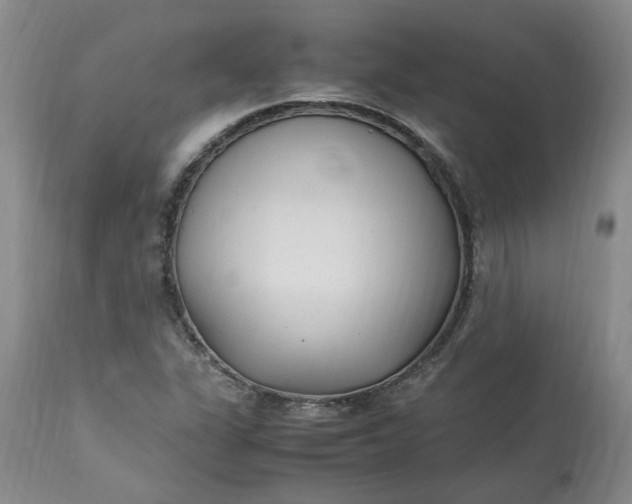 X0000113221311200910011335