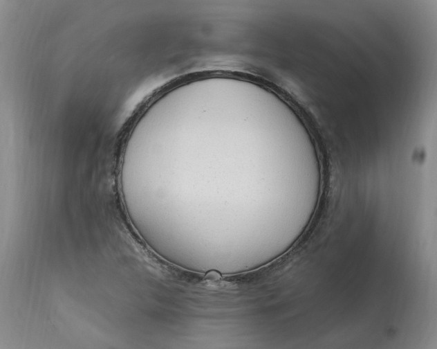 X0000113221312200910011335