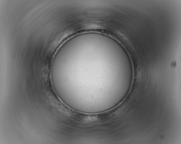 X0000113221313200910011335