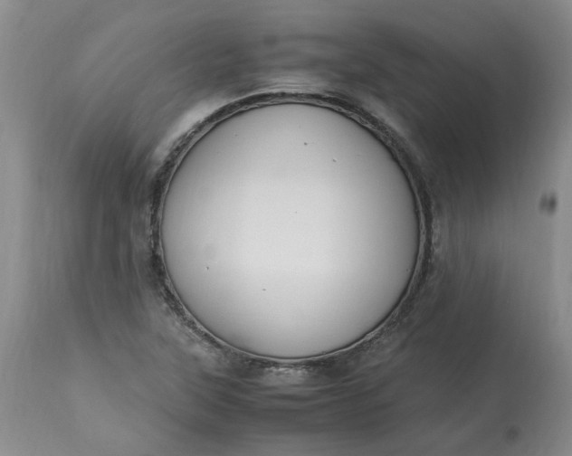 X0000113221315200910011335