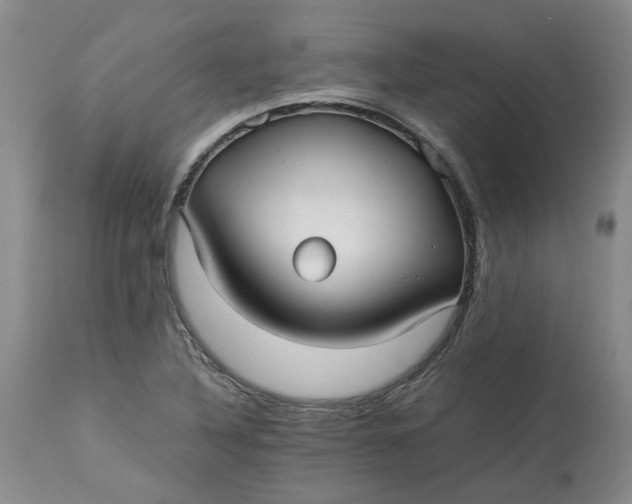 X0000113221316200910011335