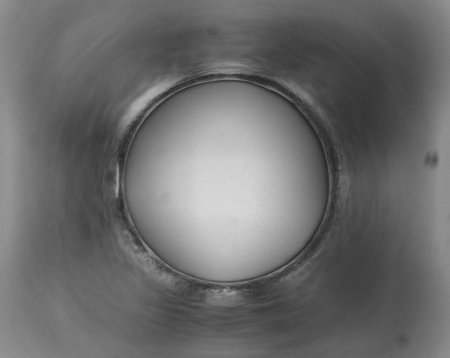 X0000113221317200910011335