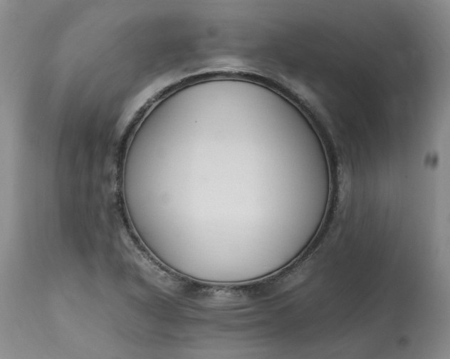 X0000113221318200910011335