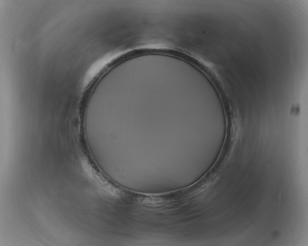 X0000113221319200910011335