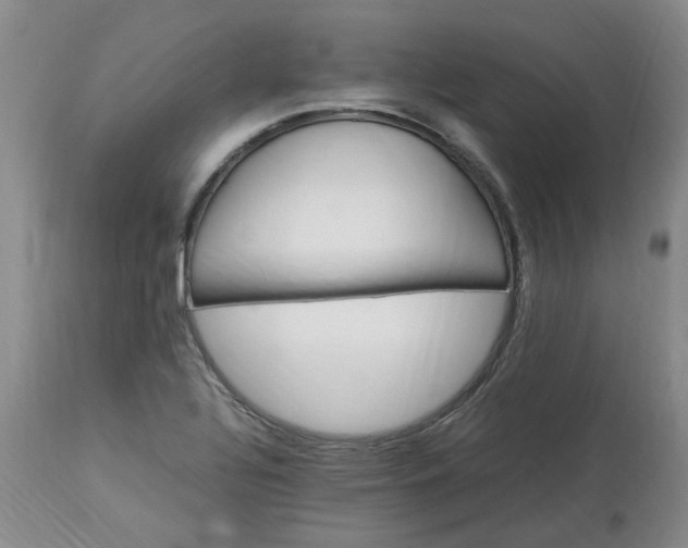 X0000113221320200910011335