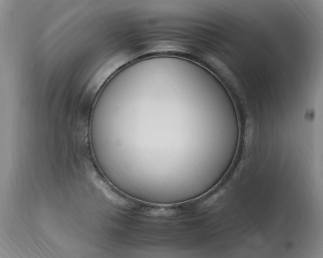 X0000113221321200910011335