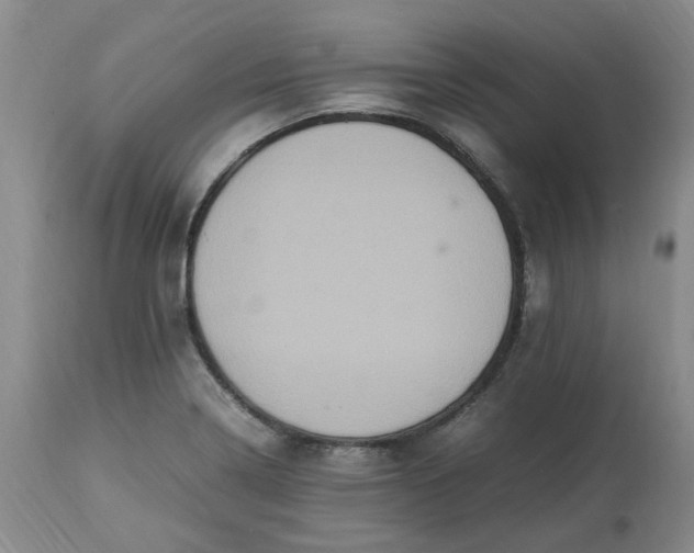 X0000113221322200910011335