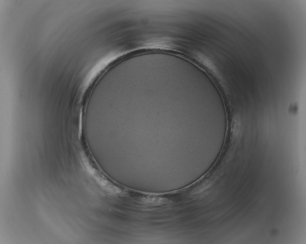 X0000113221323200910011335