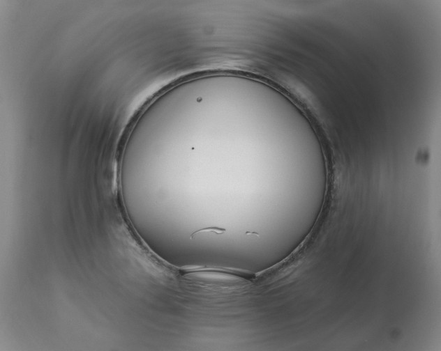 X0000113221324200910011335