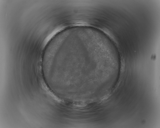 X0000113221325200910011335