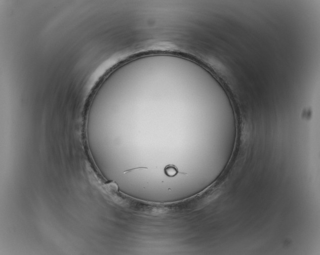 X0000113221326200910011335