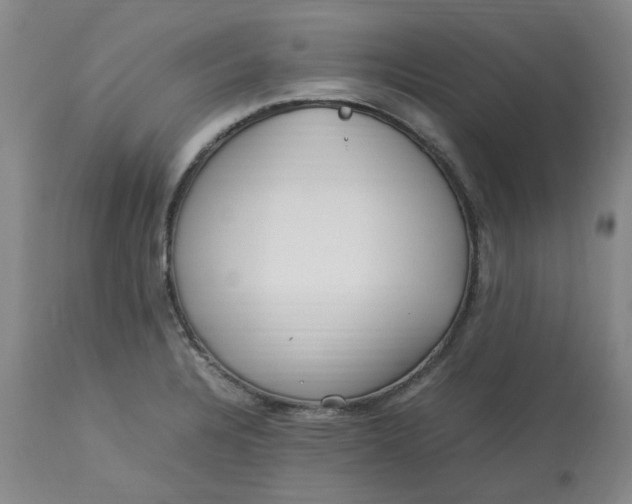 X0000113221328200910011335