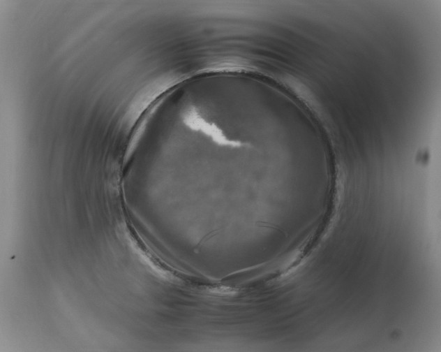 X0000113221329200910011335