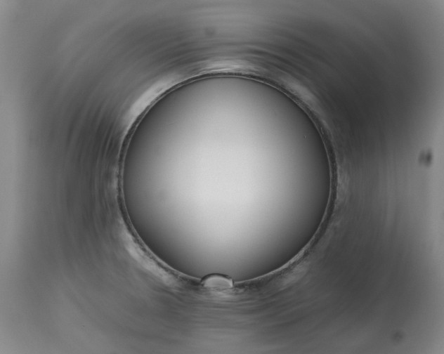 X0000113221330200910011335