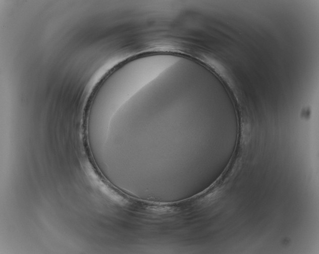 X0000113221331200910011335