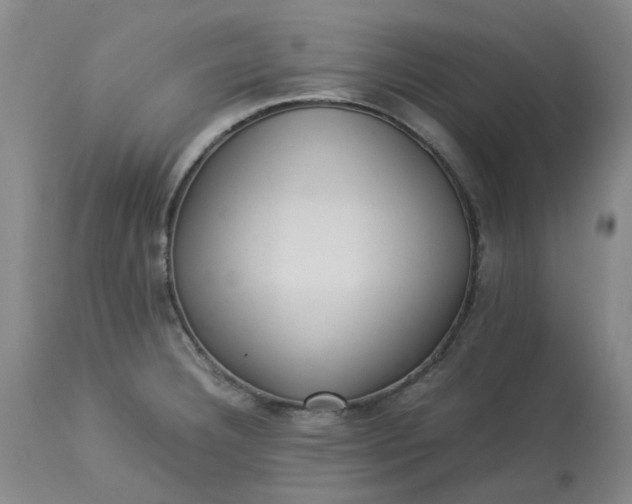 X0000113221332200910011335