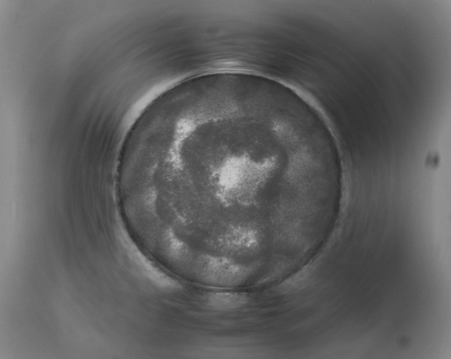 X0000113221333200910011335