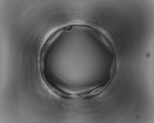 X0000113221334200910011335