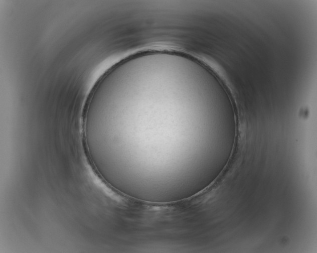 X0000113221335200910011335