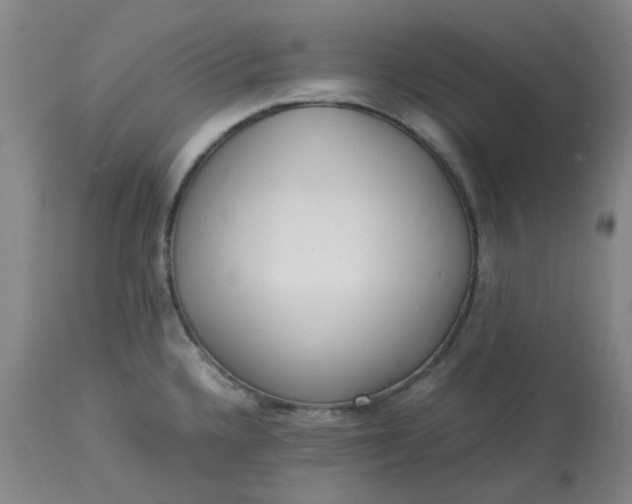 X0000113221336200910011335